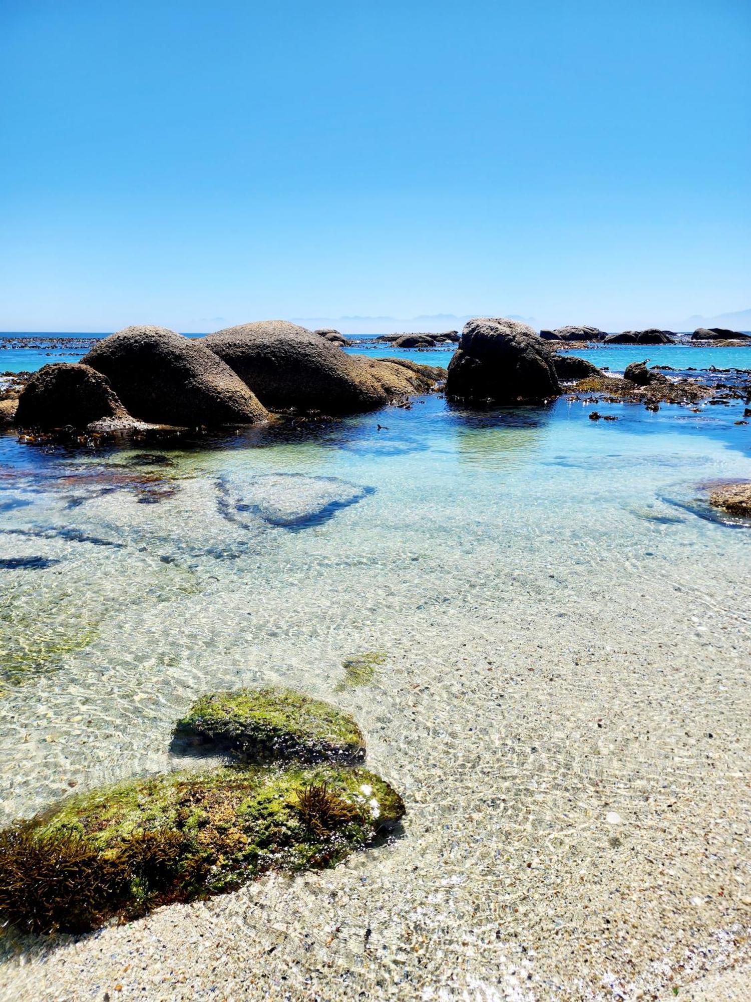 לינה וארוחת בוקר Simonʼs Town The Tides מראה חיצוני תמונה
